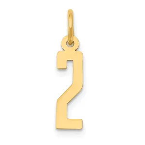 14K Gold Elongated Number 2 Charm  Polished, Laser-Cut, Small Themed Design