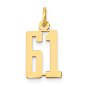 14K Gold Polished Elongated 61 Charm Small, Laser Cut