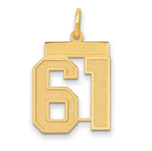 14K Gold Satin Number 61 Charm with Brushed Finish  Medium Size