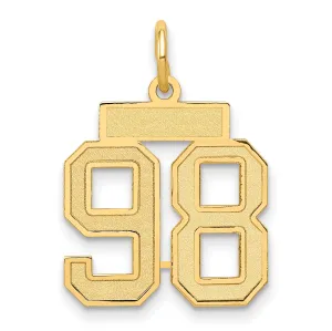 14K Gold Satin Number 98 Charm with Brushed Finish Small & Elegant