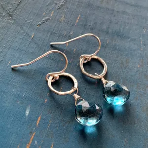 Sarina Earrings / Silver   Blue