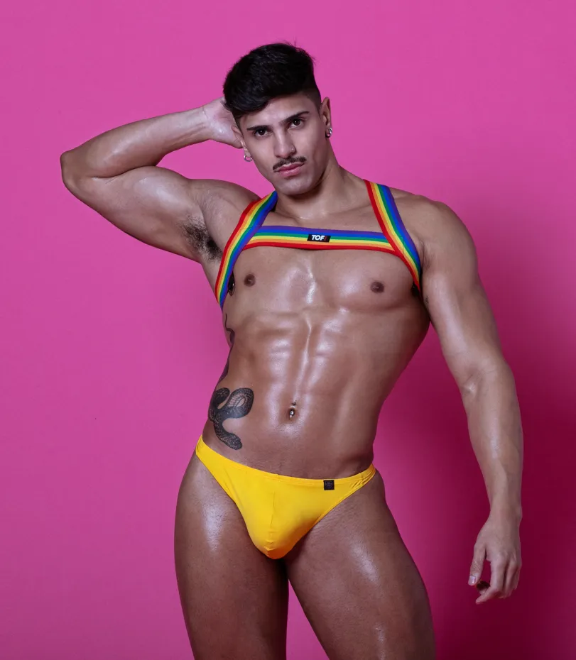 TOF Paris Rainbow Chest Harness