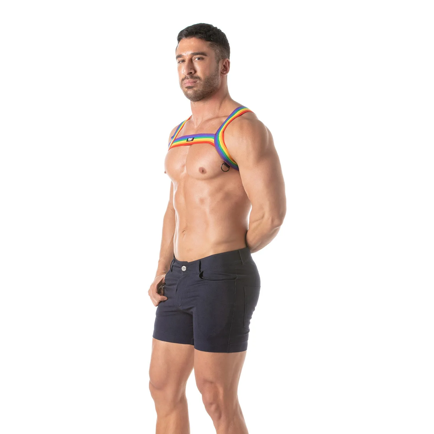 TOF Paris Rainbow Chest Harness