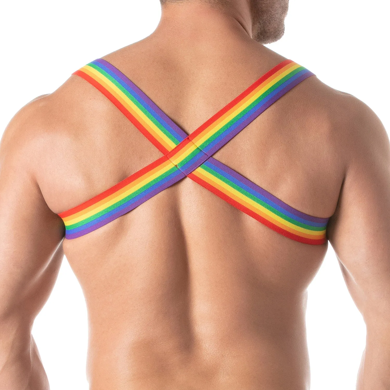 TOF Paris Rainbow Chest Harness